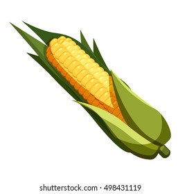Corn icon. Cartoon illustration of corn vector icon for web