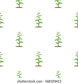 Corn icon cartoon. Single plant icon from the big farm, garden, agriculture cartoon.