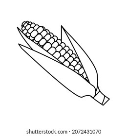 Corn icon. Corn cob icon. Vegetable symbol in outline. Vector