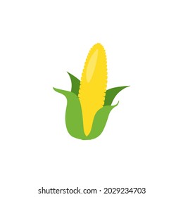 Corn icon design illustration template