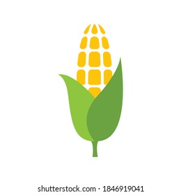 Corn icon design isolated on white background