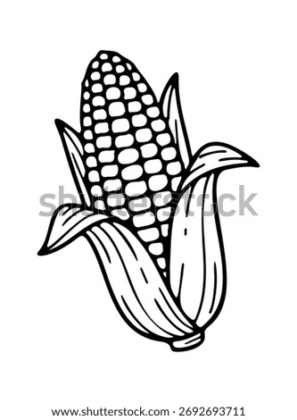 corn icon doodle hand drawn. Outline line drawing clipart symbol. Vector illustration.