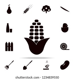 corn icon. Farm icons universal set for web and mobile