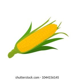 Corn icon in a flat design on a white background. Vector illustration