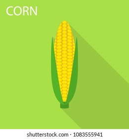 Corn icon. Flat illustration of corn vector icon for web design