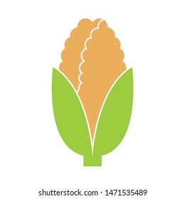 corn icon. flat illustration of corn - vector icon. corn sign symbol