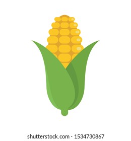 Corn icon. Flat illustration of corn vector icon for web design