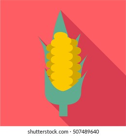 Corn icon. Flat illustration of corn vector icon for web