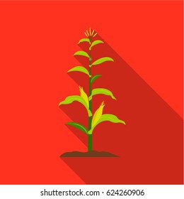 Corn icon flat. Single plant icon from the big farm, garden, agriculture flat.