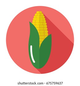 Corn icon. Flat Corn icon. Corn vector.