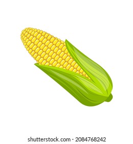 Corn icon. Fresh vegetables. Colorful yellow corn. Cartoon organic vegetable isolated on white background. Vector illustration flat design.