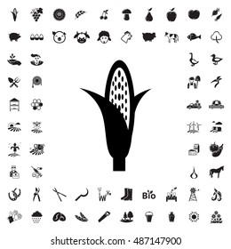 Corn icon illustration isolated vector sign symbol
