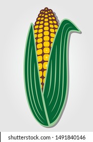 Corn icon isolated on white background. Vector illustration.
