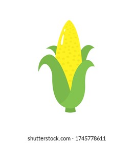 Icono de maíz aislado en fondo blanco. Ilustración plana vectorial.