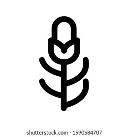 corn icon isolated sign symbol vector illustration - high quality black style vector icons
