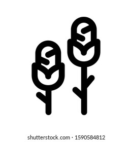 corn icon isolated sign symbol vector illustration - high quality black style vector icons
