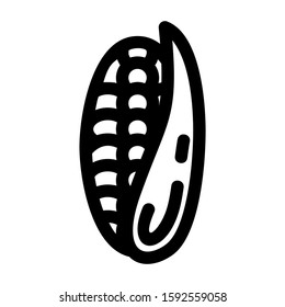 corn icon isolated sign symbol vector illustration - high quality black style vector icons
