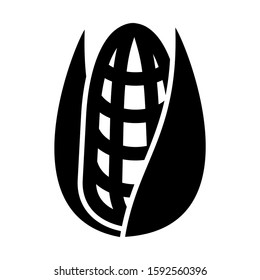 corn icon isolated sign symbol vector illustration - high quality black style vector icons
