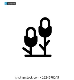 corn icon isolated sign symbol vector illustration - high quality black style vector icons
