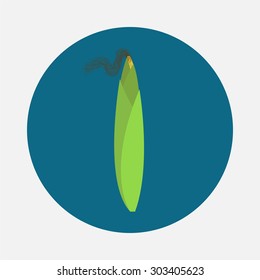 Corn icon isolated. Vector illustration.
