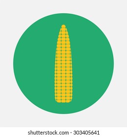 Corn icon isolated. Vector illustration.
