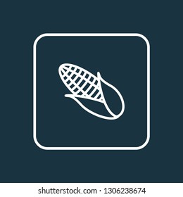 Corn icon line symbol. Premium quality isolated maize element in trendy style.
