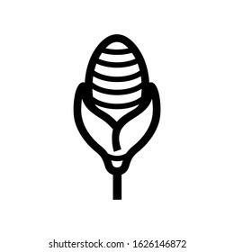 corn icon or logo isolated sign symbol vector illustration - high quality black style vector icons
