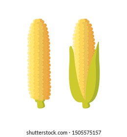 Corn icon. maize isolated on white background. Vector illustration. Eps 10.