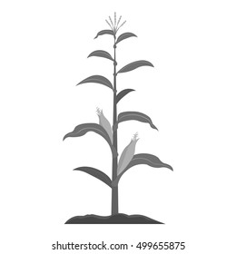Corn icon monochrome. Single plant icon from the big farm, garden, agriculture monochrome.