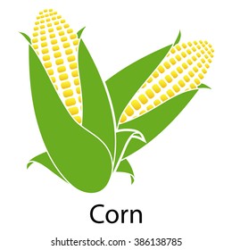 Corn icon on white background. Vector illustration.