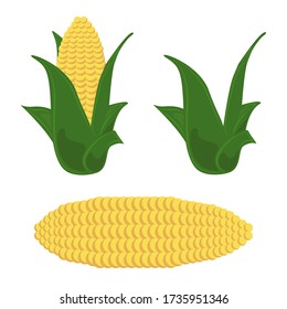 Corn icon. Organic product set vector illustration design