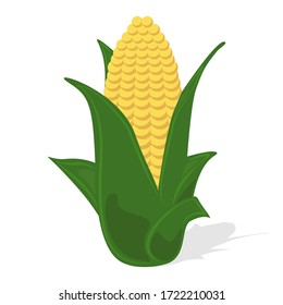 Icono de maíz. Diseño de ilustración vectorial de producto orgánico