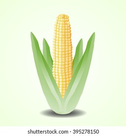 Corn icon realistic