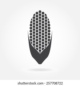 Corn icon or sign isolated on white background. Vector illustration.