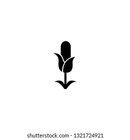 corn icon vector