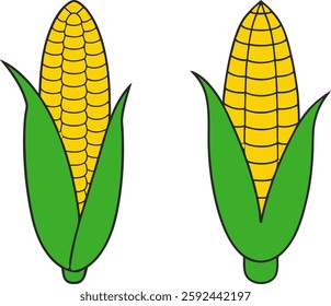 Corn icon vector, Corn cobs silhouette, Set of Corn art, Corns vector illustration