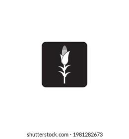 Corn icon, vector design element,illustration template.