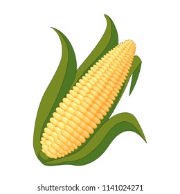 Corn icon .Vector illustration.