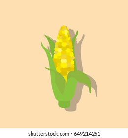 Corn icon, vector illustration design. Vegetables collection.