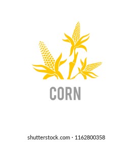 Corn icon. Vector illustration isolated on white background.