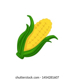 Corn icon. Vector illustration of corn isolated on white background