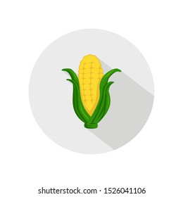 Corn icon vector. illustration of corn isolated on grey circle. healthy vegetable, nutrition icon