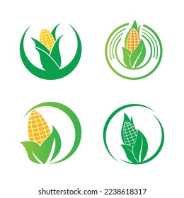 Corn icon vector illustration logo design