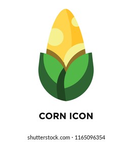 Corn icon vector isolated on white background, Corn transparent sign , colorful symbols