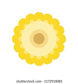 Corn icon vector. Corn on white background.