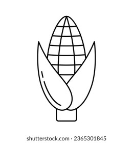 Corn icon. Vegetable in outline style. Line vector illustration.