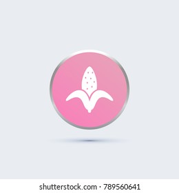 corn icon. vegetable sign