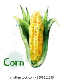 Corn icon watercolor Vector. Delicious maize template icon