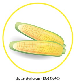 Corn icon in yellow circle isolated on white background.