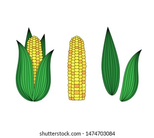 Corn icons in cartoon style. Vector illustration for design and web.